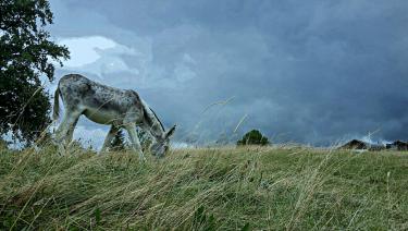 20150816_134008-edit-edit.jpg