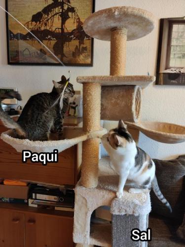 eine eigene Familie - das ist es, was sich Paqui und Sal wünschen