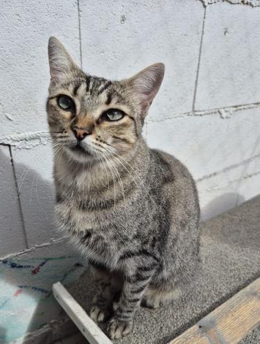 k2510kiki11.jpg