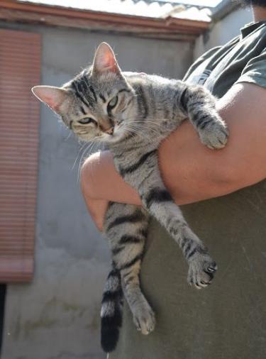 k2510kiki15.jpg