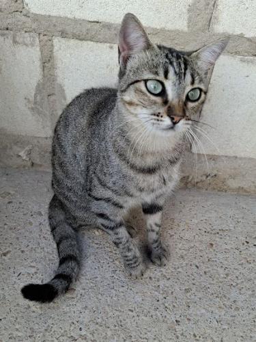 k2510kiki4.jpg