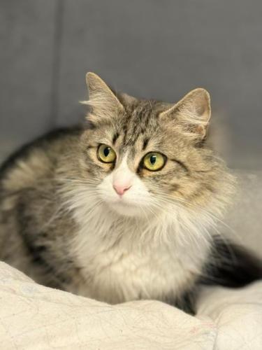 k2606daisy4.jpg