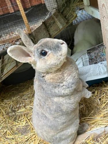 - reserviert - Wally