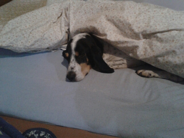 img-20160107-wa0010.jpg