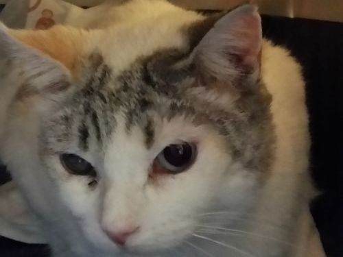 20160219_161318.jpg