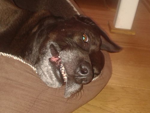 20130717_143052.jpg