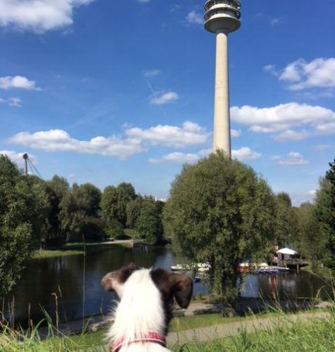 serafina1.jpg