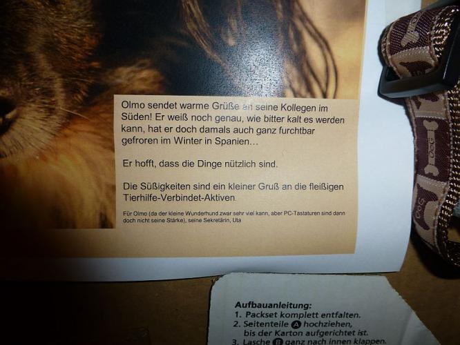 olmo1.jpg