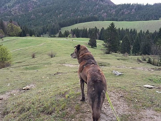 h1705loba15.jpg