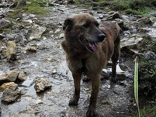 h1705loba8.jpg
