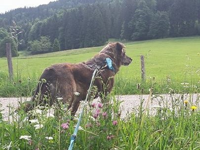 h1706loba6.jpg